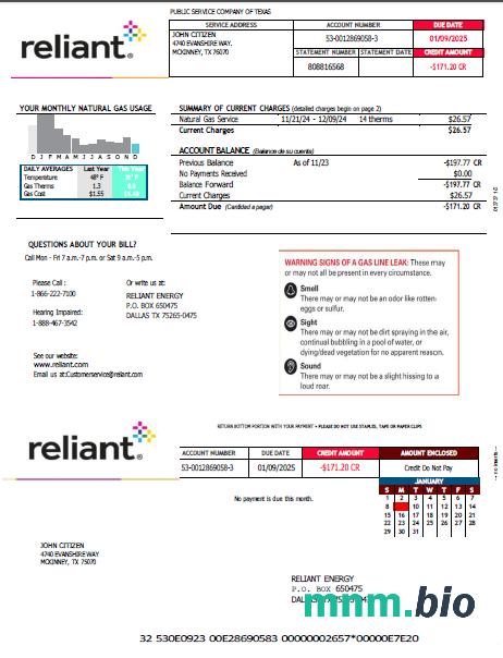 USA Reliant Energy rachunek za media szablon w formacie Word i PDF